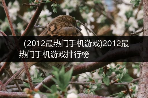 （2012最热门手机游戏)2012最热门手机游戏排行榜